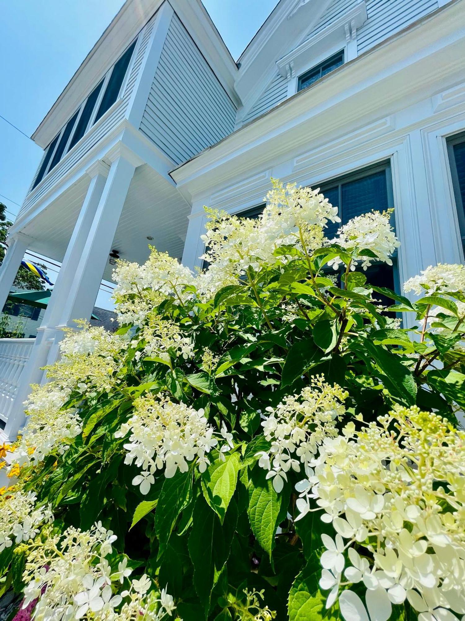 White Porch Inn Provincetown Exterior foto